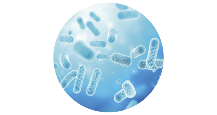 Probiotici: nevidljivi čuvari našeg zdravlja